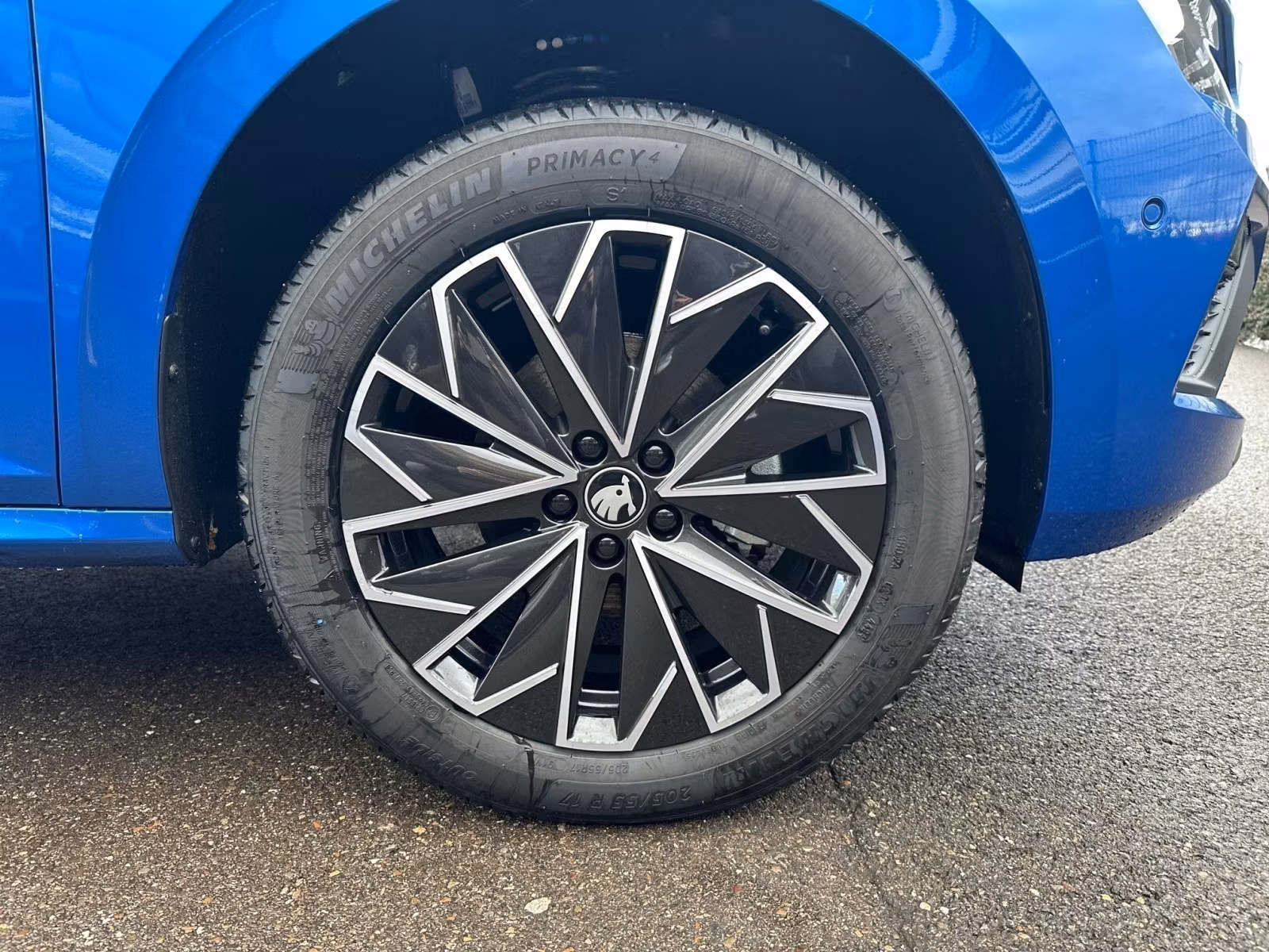 Skoda - Kamiq Tour 1,5 TSI DSG Navi Assistenten